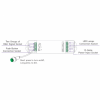 LED controller DALI, 4x 5A, RGB-W, RGB, single color - Afbeelding 5